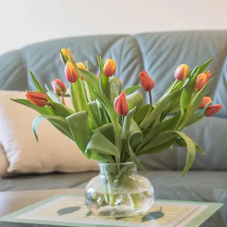 Sylter Residenz ווסטרלנד